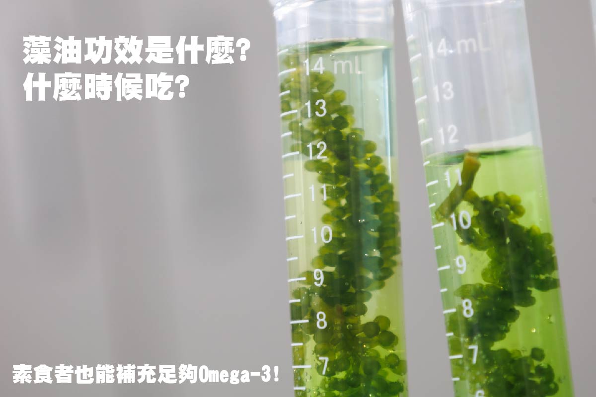 藻油_工作區域 1.jpg