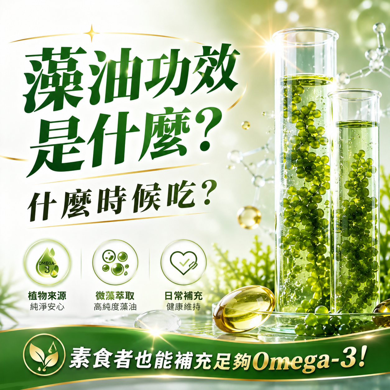 藻油 Omega-3 營養知識
